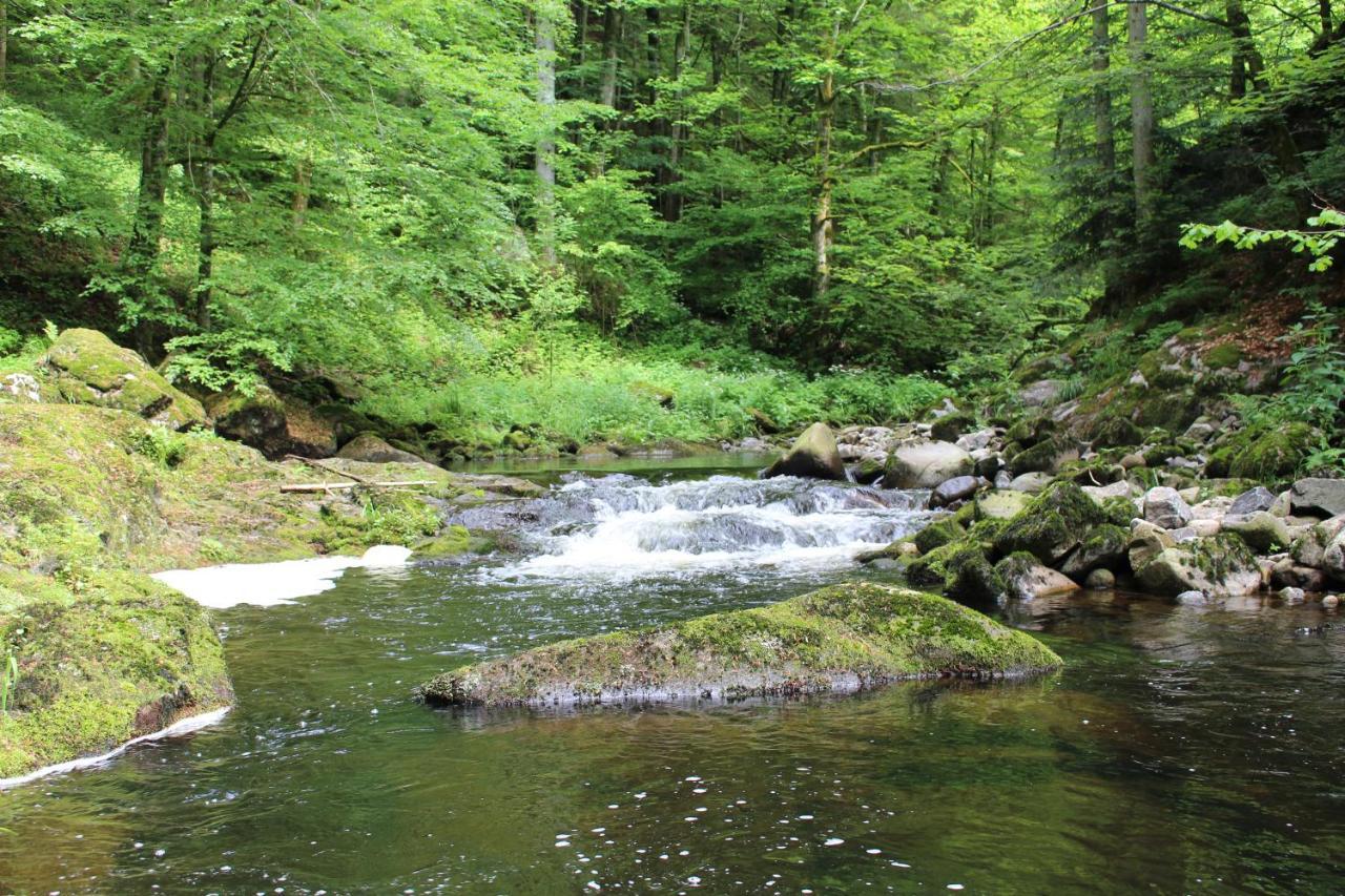 Ferienwohnung Hofleben Reiner Neukirchen vorm Wald Экстерьер фото